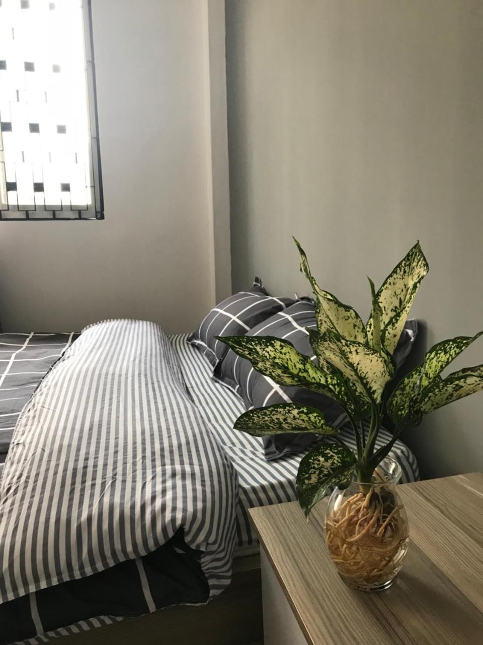 Meowies Homestay Хошимин Экстерьер фото